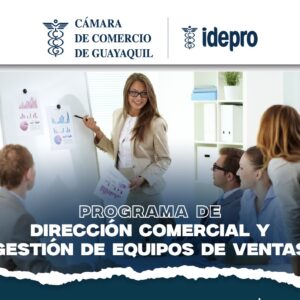 Programa de Dirección Comercial y  Gestión de Equipos de Venta